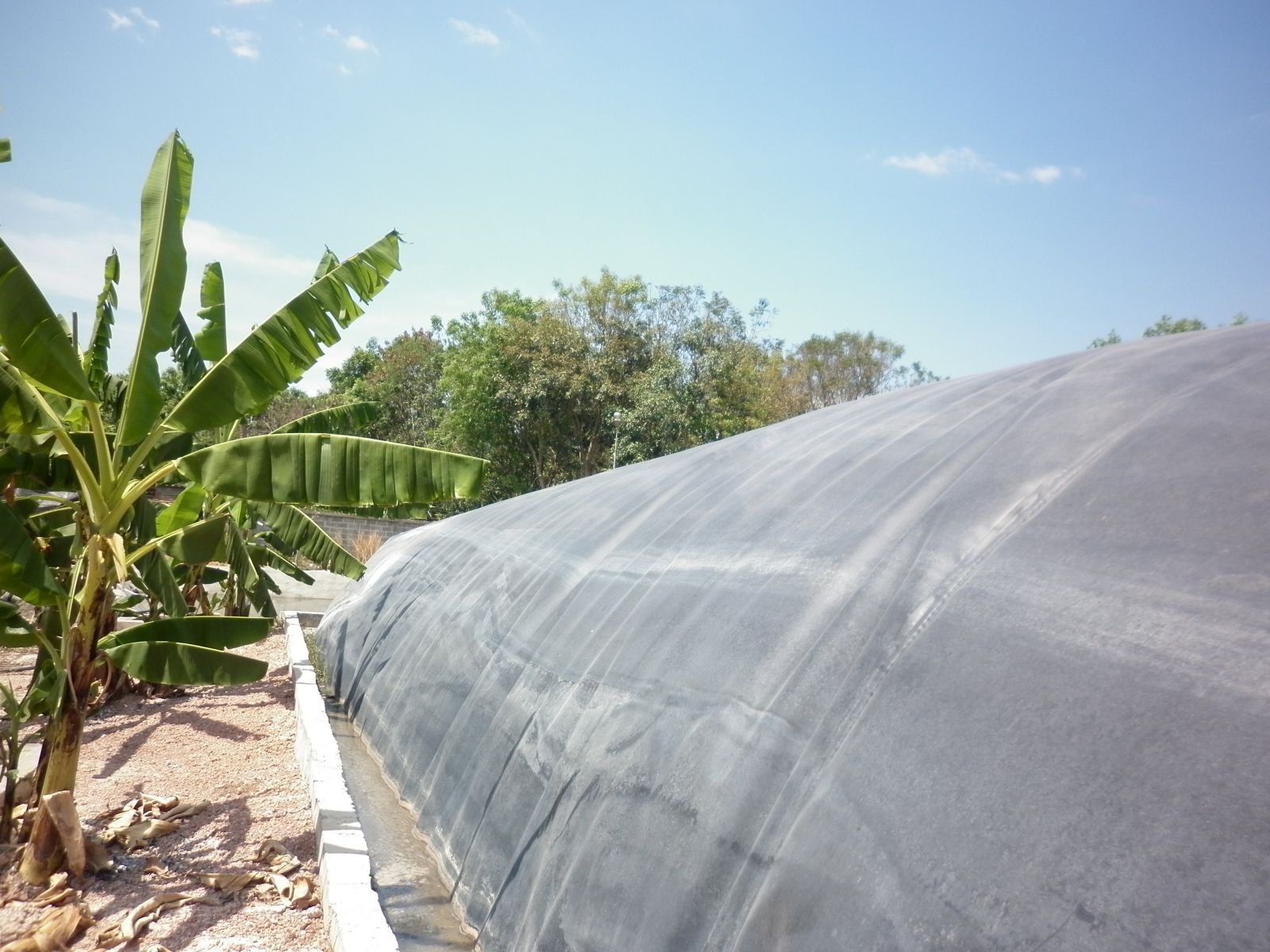 Kích thước hầm biogas và ưu điểm của HDPE ứng dụng tại Việt Nam